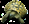 Cms image